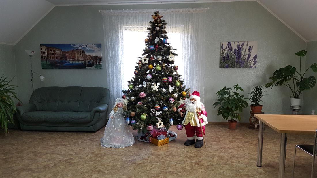 фото елка в доме престарелых